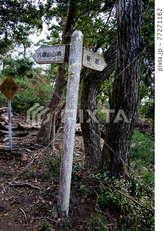 大阪府箕面市　箕面の森　六個山山頂　と　新稲　を示す行先表示板　全部　縦位置 77271162