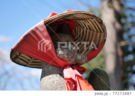 福島　鶴ヶ城　桜 77271687