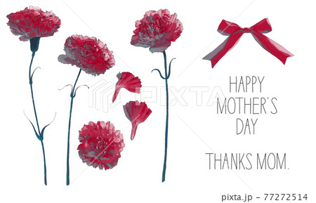 母の日 カーネーションのイラストのイラスト素材
