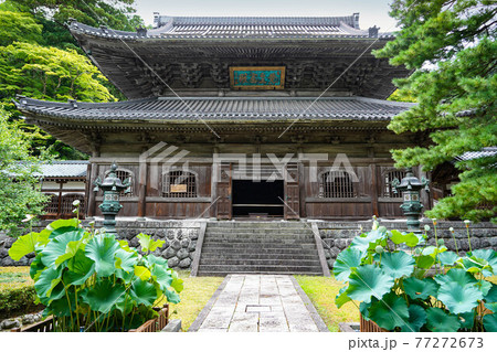 永平寺の仏殿 永平寺の仏殿 77272673