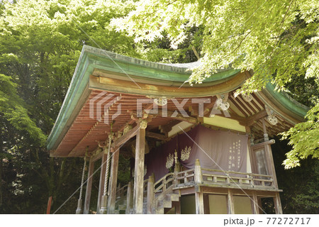 清瀧宮本殿 醍醐寺 清瀧宮本殿 醍醐寺 77272717