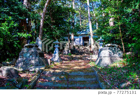 塩釜市 みちのく潮風トレイル 浦戸諸島 桂島 タブの森入り口に建つ松崎神社 塩釜市 みちのく潮風トレイル 浦戸諸島 桂島 タブの森入り口に建つ松崎神社 77275131