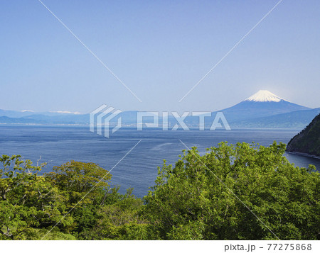 伊豆半島西伊豆絡みた富士山 伊豆半島西伊豆絡みた富士山 77275868