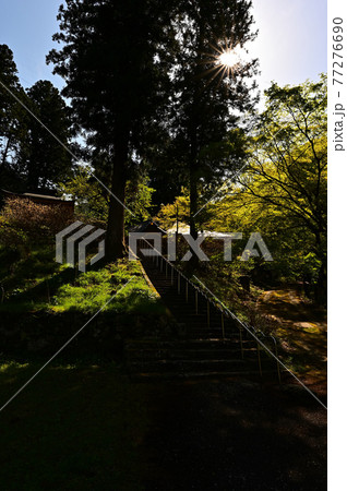 文保寺より 文保寺より 77276690