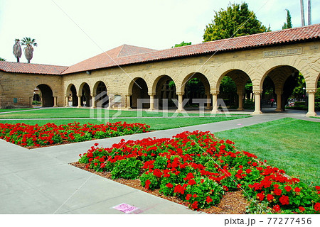 アメリカ合衆国 カリフォルニア州 スタンフォード大学 キャンパス風景 アーチの回廊と花壇 アメリカ合衆国 カリフォルニア州 スタンフォード大学 キャンパス風景 アーチの回廊と花壇 77277456