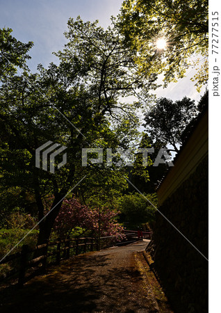 文保寺より 77277515