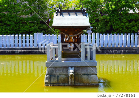百舌鳥八幡宮 77278161
