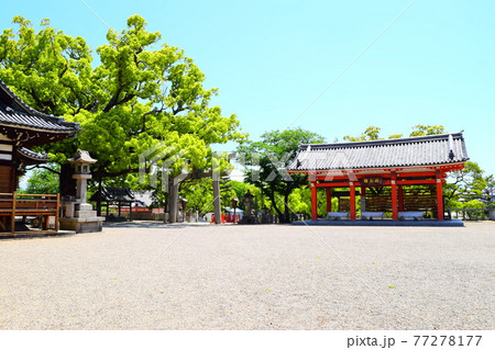 百舌鳥八幡宮 百舌鳥八幡宮 77278177