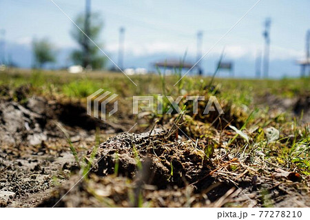 放棄された土地 放棄された土地 77278210