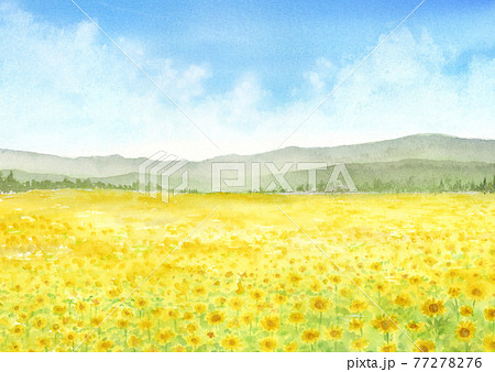 ひまわり畑の水彩画 ひまわり畑の水彩画 77278276