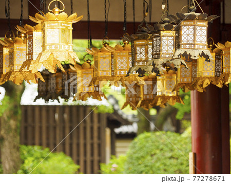 四天王寺の吊り灯籠 四天王寺の吊り灯籠 77278671