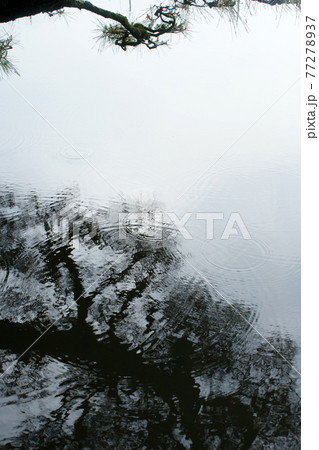 四季の散歩　春　聚楽園 77278937