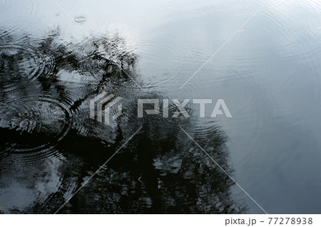 四季の散歩 春 聚楽園 四季の散歩 春 聚楽園 77278938