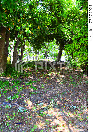 収塚古墳【世界遺産】 77279025