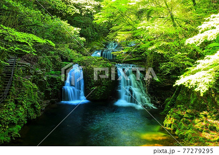 三重県の赤目四十八滝 77279295