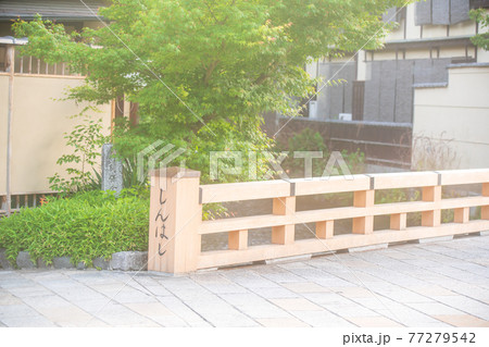 京都市東山区祇園白川の新緑を撮影 京都市東山区祇園白川の新緑を撮影 77279542