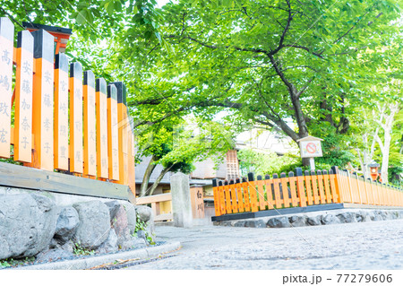 京都市東山区祇園白川の新緑を撮影 京都市東山区祇園白川の新緑を撮影 77279606