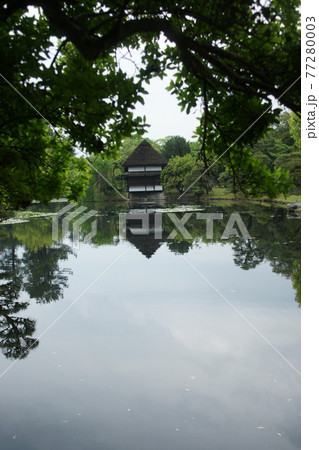 四季の散歩 春 聚楽園 四季の散歩 春 聚楽園 77280003