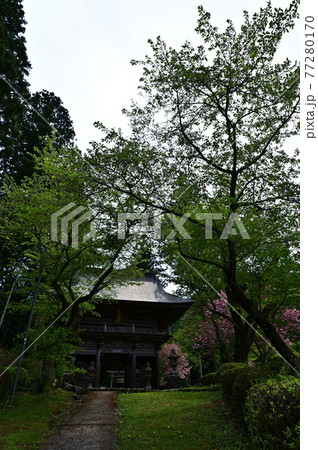 文保寺より 77280170