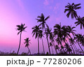 Summer season Sunset with coconut tree in twilight time at beach 77280206