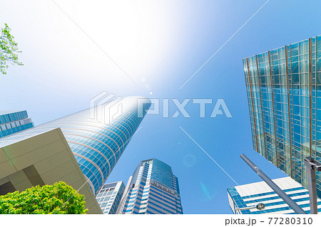 東京　品川　高層ビル　新緑と青空　2021年 77280310