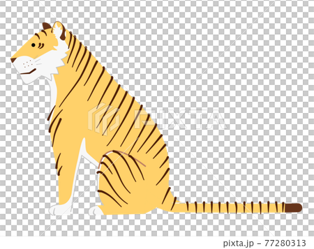 座るトラのイラスト 横のイラスト素材