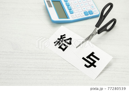 給与削減イメージ 77280539