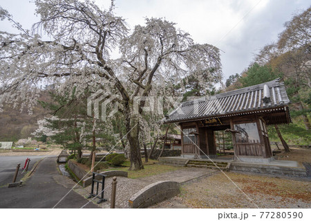 浄運寺 77280590