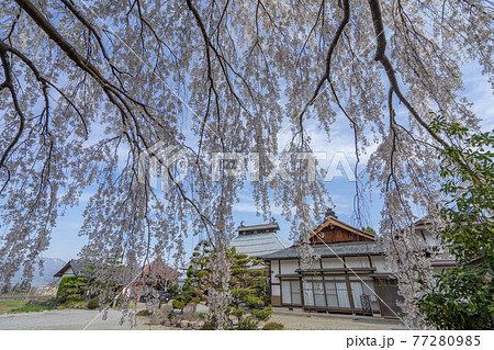 大広院 大広院 77280985