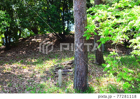 孫太夫山古墳【世界遺産】 77281118