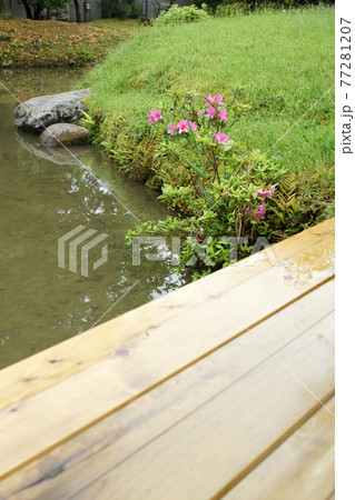 四季の散歩　春　聚楽園 77281207