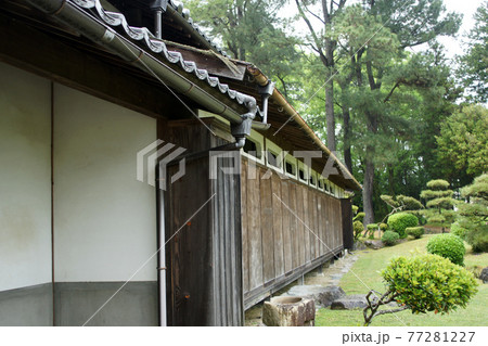 四季の散歩 春 聚楽園 四季の散歩 春 聚楽園 77281227