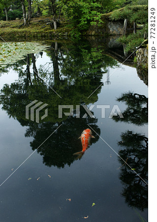 四季の散歩　春　聚楽園 77281249