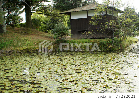 四季の散歩 春 聚楽園 四季の散歩 春 聚楽園 77282021