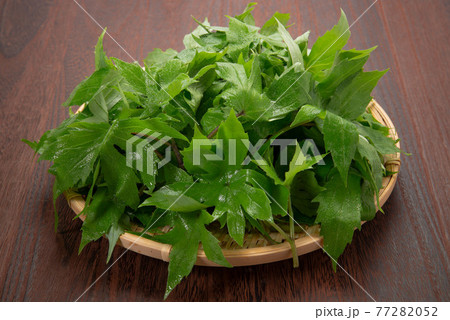 山菜のしどけ 77282052