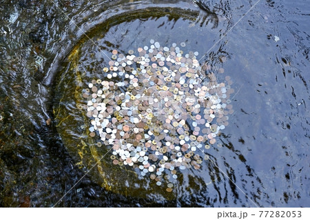 湧水の中に投げ入れられたお賽銭@羊蹄山、北海道 湧水の中に投げ入れられたお賽銭@羊蹄山、北海道 77282053