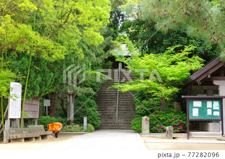 おのころ島神社（淡路島・兵庫県南あわじ市） 77282096