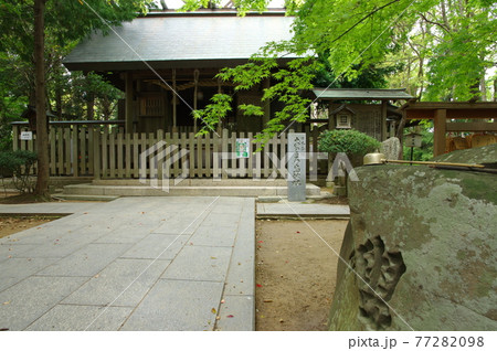 おのころ島神社拝殿(淡路島・兵庫県南あわじ市) おのころ島神社拝殿(淡路島・兵庫県南あわじ市) 77282098
