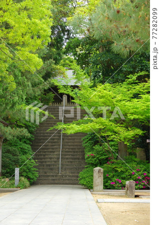 おのころ島神社(淡路島・兵庫県南あわじ市) おのころ島神社(淡路島・兵庫県南あわじ市) 77282099
