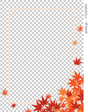 楓樹紅楓楓葉-插圖素材[77282901] - PIXTA圖庫