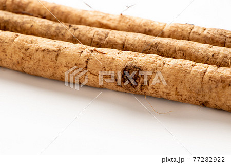 ごぼうのアップ 白バック の写真素材
