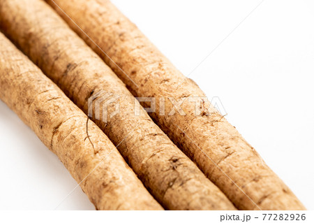 ごぼうのアップ 白バック の写真素材
