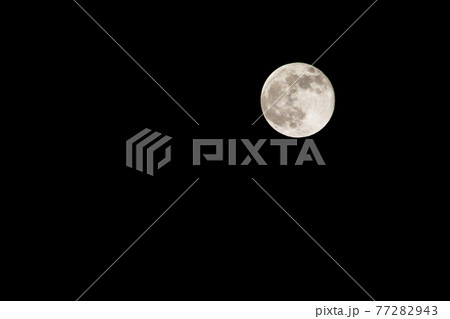 満月/Pink Moon 満月/Pink Moon 77282943