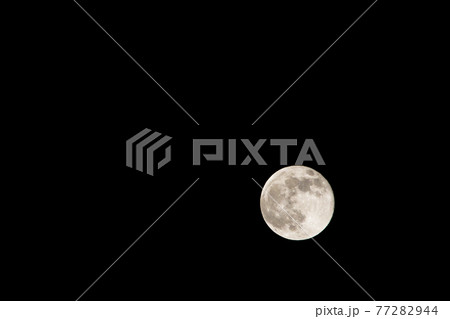 満月/Pink Moon 満月/Pink Moon 77282944