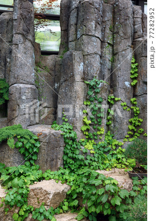 川 河 岩 77282952