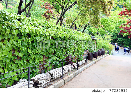 川 河 岩 77282955