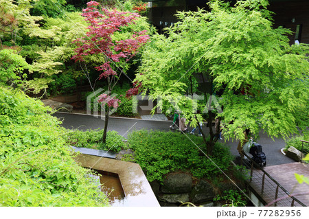 川 河 岩 77282956