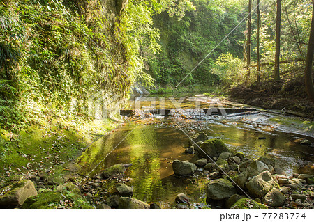 人里離れた大自然の中の風景 人里離れた大自然の中の風景 77283724