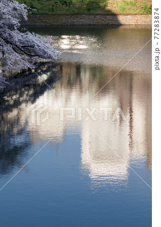 千鳥ヶ淵の水面に映りこむビルと空 77283874