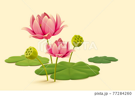 3d Natural Lotus Flowers And Leavesのイラスト素材